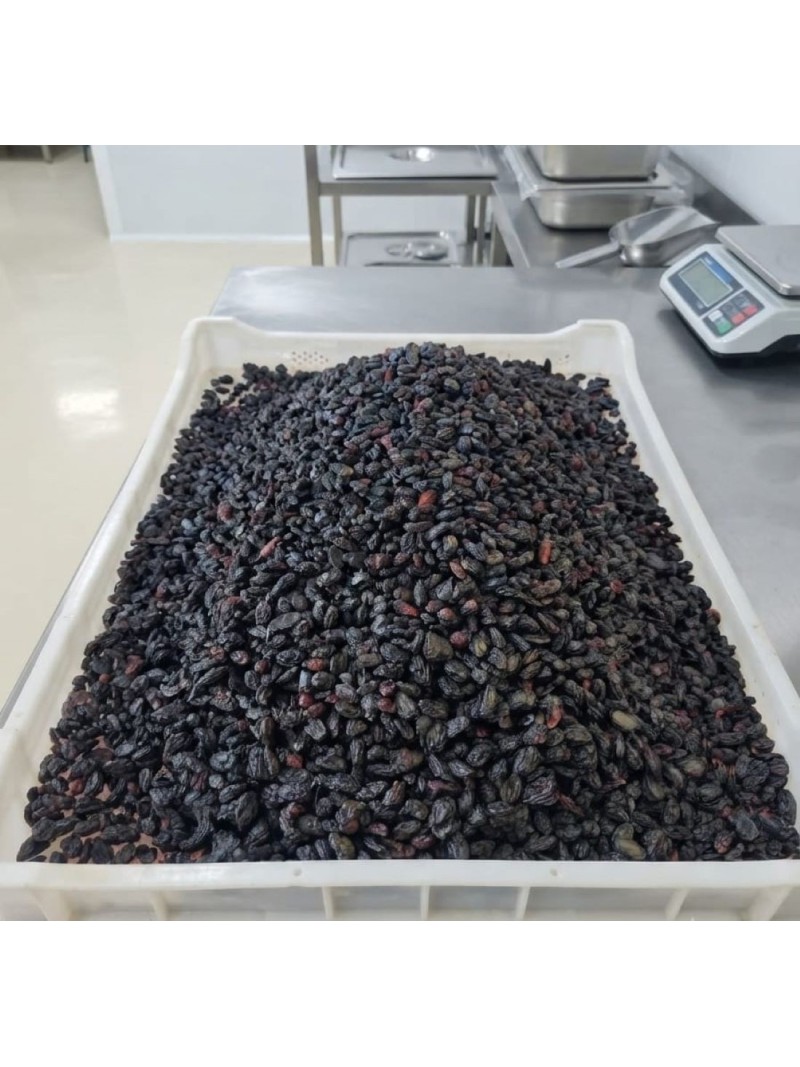 Antep Karası Çekirdekli Kuru üzüm 1 Kg