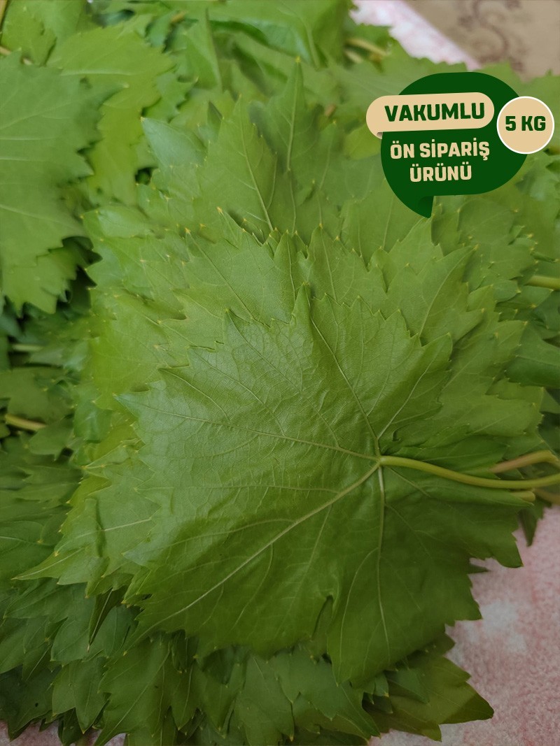 Vakumlu Taze Asma Yaprak 5 kg.