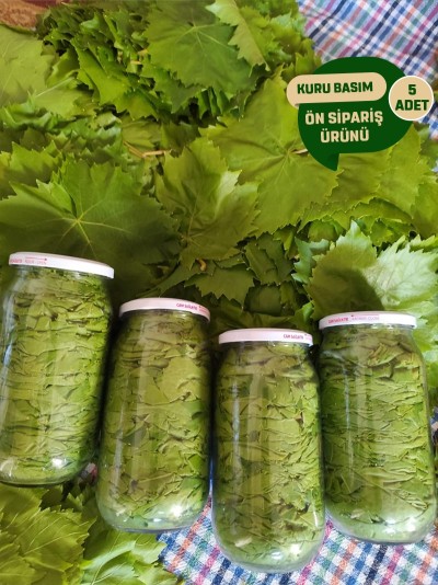 Kuru Basım Asma Yaprak 5x1'lik Kavanoz