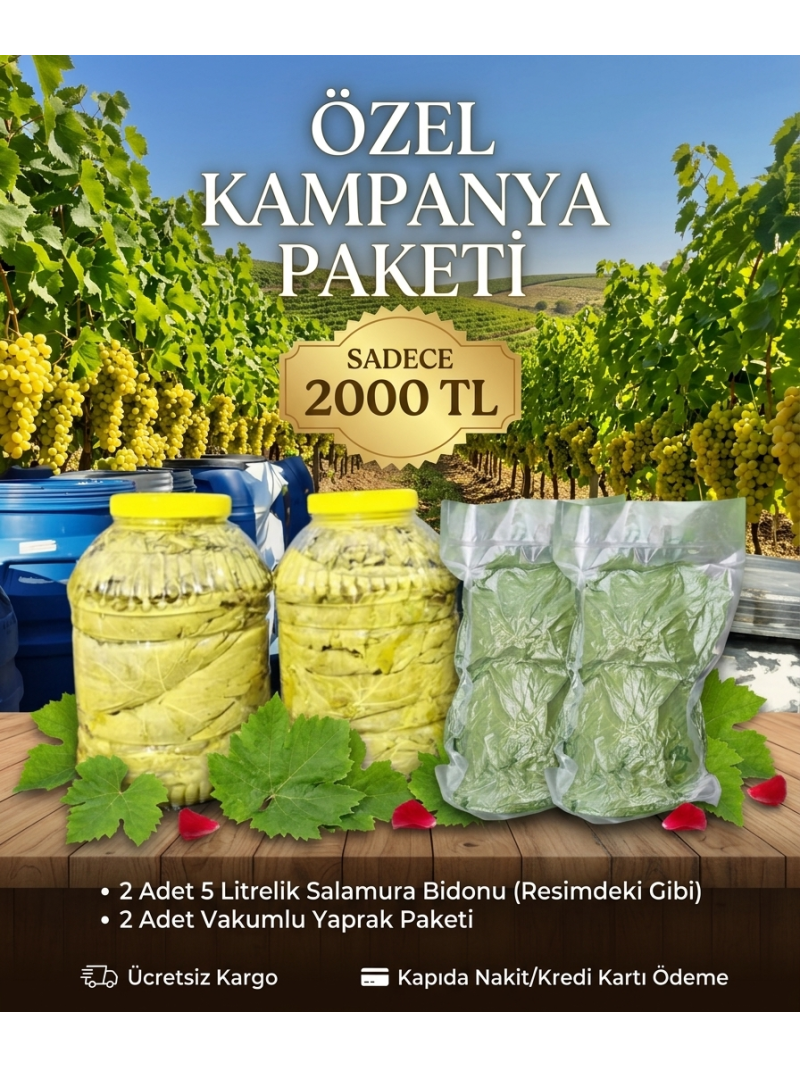 Salamura Asma Yaprak 2x5'lik Bidon+Vakumlu Taze Asma Yaprak 2kg